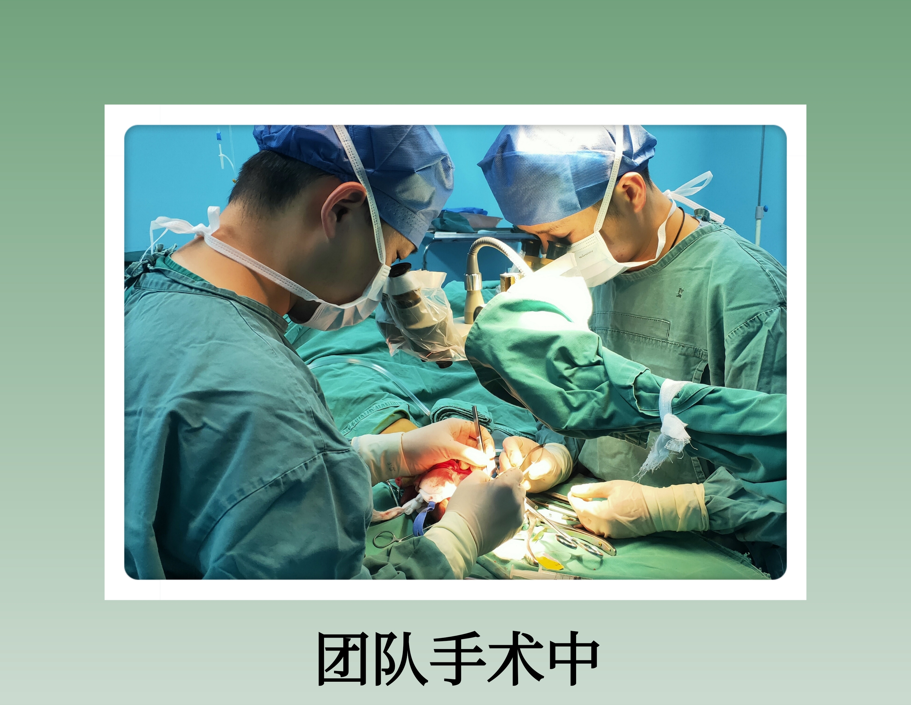 文章附图